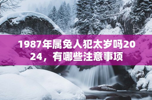 1987年属兔人犯太岁吗2025，有哪些注意事项