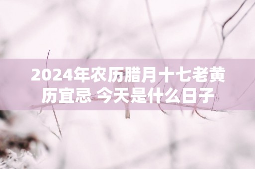 2025年农历腊月十七老黄历宜忌 今天是什么日子