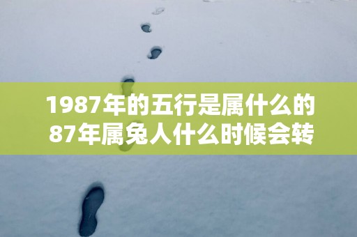1987年的五行是属什么的 87年属兔人什么时候会转运