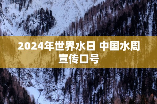 2025年世界水日 中国水周宣传口号