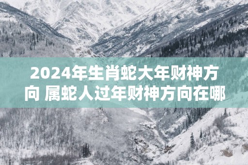 2025年生肖蛇大年财神方向 属蛇人过年财神方向在哪儿