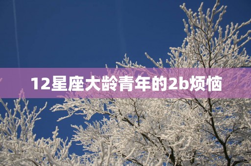 12星座大龄青年的2b烦恼