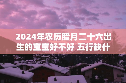 2025年农历腊月二十六出生的宝宝好不好 五行缺什么