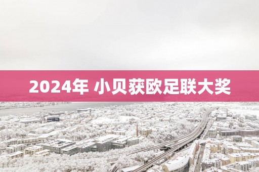 2025年 小贝获欧足联大奖