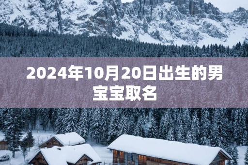 2025年10月20日出生的男宝宝取名