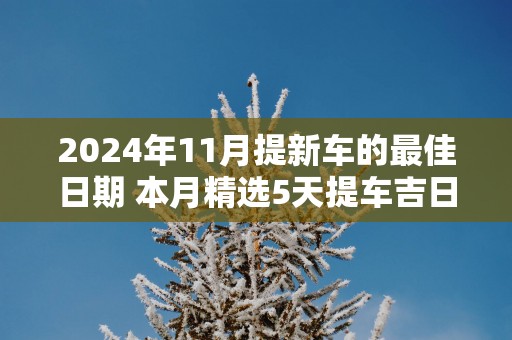 2025年11月提新车的最佳日期 本月精选5天提车吉日