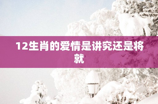12生肖的爱情是讲究还是将就