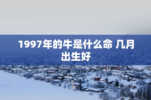 1997年的牛是什么命 几月出生好