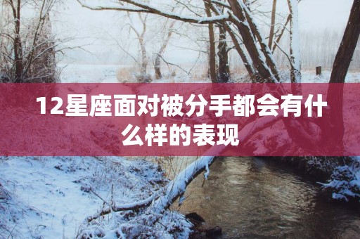 12星座面对被分手都会有什么样的表现