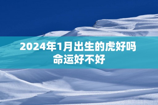2025年1月出生的虎好吗 命运好不好