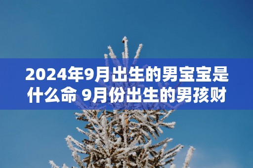 2025年9月出生的男宝宝是什么命 9月份出生的男孩财运