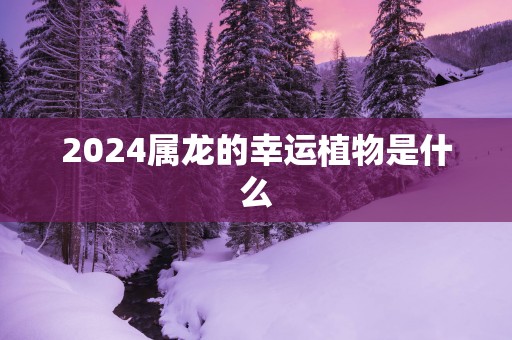 2025属龙的幸运植物是什么