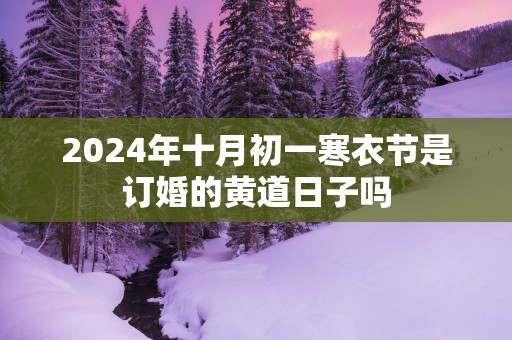 2025年十月初一寒衣节是订婚的黄道日子吗