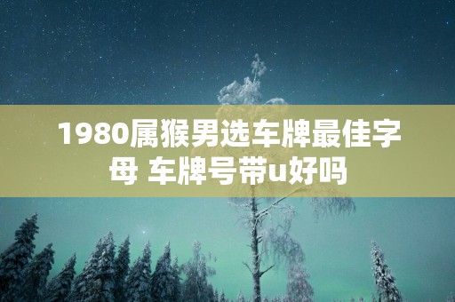 1980属猴男选车牌最佳字母 车牌号带u好吗