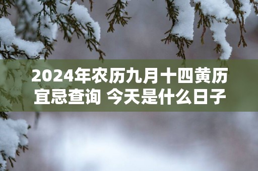 2025年农历九月十四黄历宜忌查询 今天是什么日子