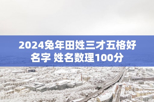 2025蛇年田姓三才五格好名字 姓名数理100分