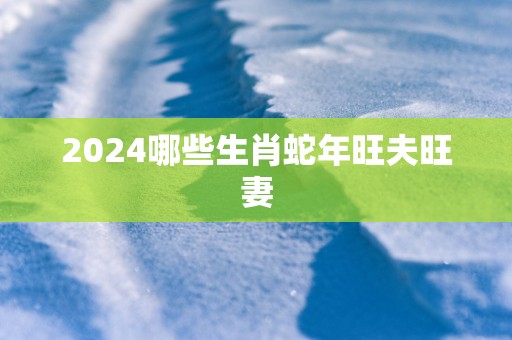 2025哪些生肖蛇年旺夫旺妻