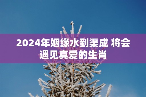 2025年姻缘水到渠成 将会遇见真爱的生肖