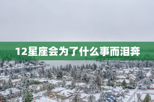12星座会为了什么事而泪奔