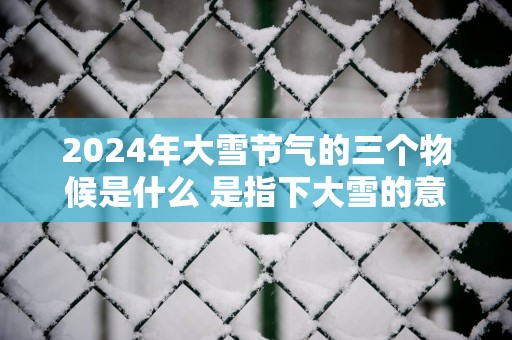 2025年大雪节气的三个物候是什么 是指下大雪的意思吗