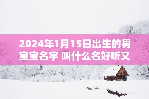 2025年1月15日出生的男宝宝名字 叫什么名好听又吉利