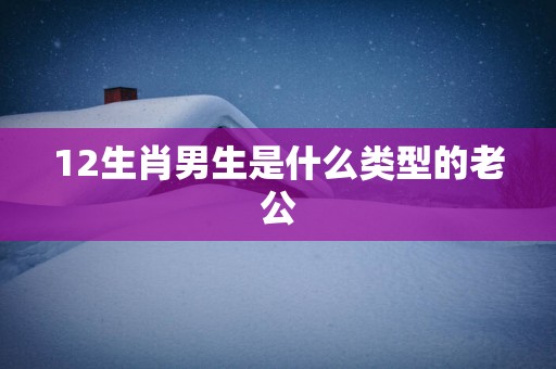 12生肖男生是什么类型的老公