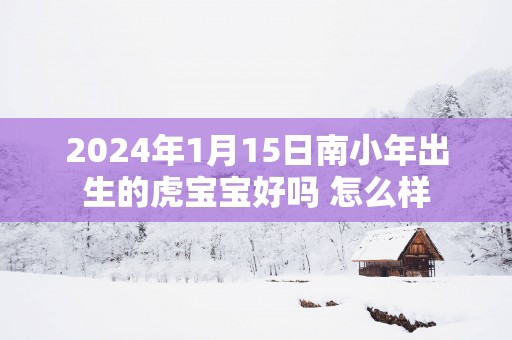 2025年1月15日南小年出生的虎宝宝好吗 怎么样