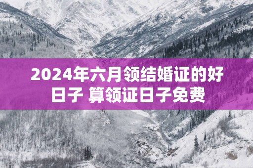 2025年六月领结婚证的好日子 算领证日子免费