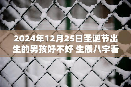 2025年12月25日圣诞节出生的男孩好不好 生辰八字看命