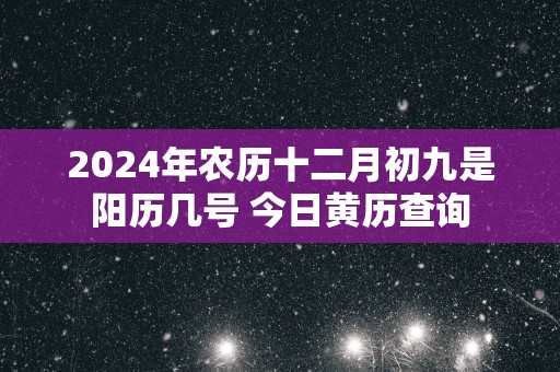 2025年农历十二月初九是阳历几号 今日黄历查询