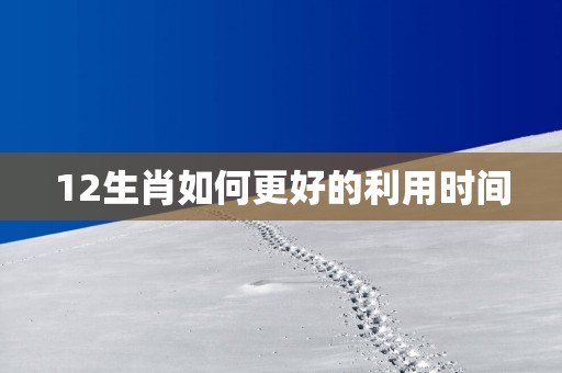 12生肖如何更好的利用时间