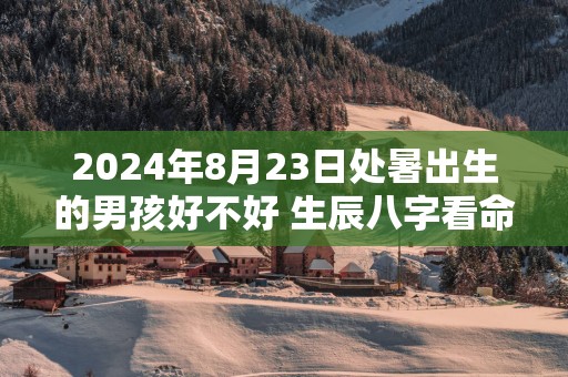 2025年8月23日处暑出生的男孩好不好 生辰八字看命