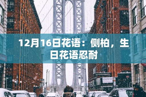 12月16日花语：侧柏，生日花语忍耐