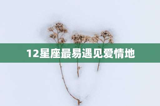 12星座最易遇见爱情地