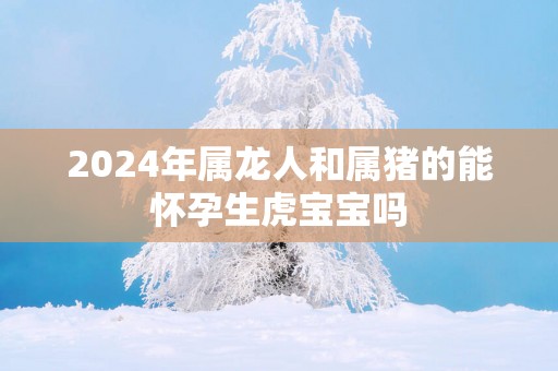 2025年属龙人和属猪的能怀孕生虎宝宝吗