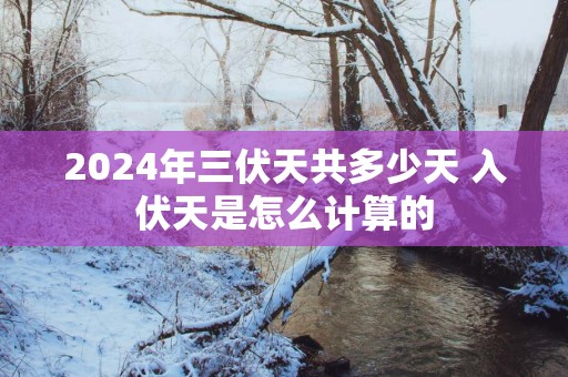 2025年三伏天共多少天 入伏天是怎么计算的