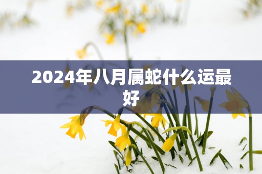 2025年八月属蛇什么运最好