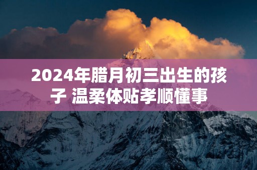 2025年腊月初三出生的孩子 温柔体贴孝顺懂事