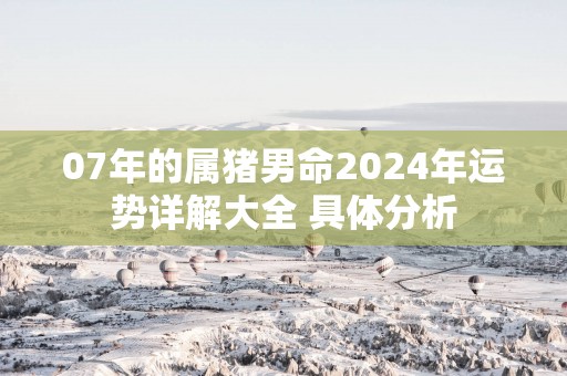 07年的属猪男命2025年运势详解大全 具体分析
