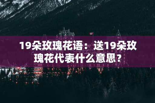 19朵玫瑰花语：送19朵玫瑰花代表什么意思？