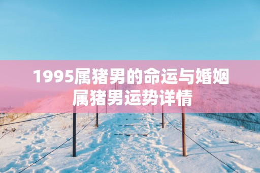 1995属猪男的命运与婚姻 属猪男运势详情