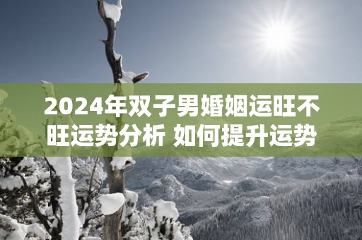 2025年双子男婚姻运旺不旺运势分析 如何提升运势