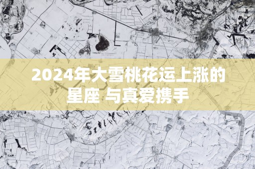 2025年大雪桃花运上涨的星座 与真爱携手