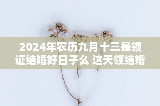 2025年农历九月十三是领证结婚好日子么 这天领结婚证好不好