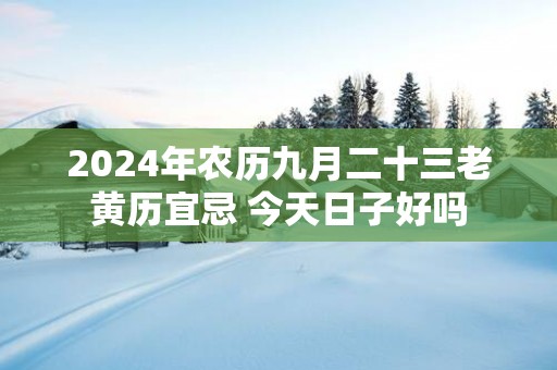 2025年农历九月二十三老黄历宜忌 今天日子好吗