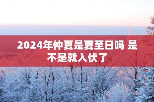 2025年仲夏是夏至日吗 是不是就入伏了