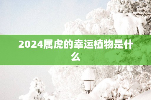 2025属虎的幸运植物是什么