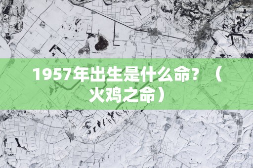 1957年出生是什么命？（火鸡之命）