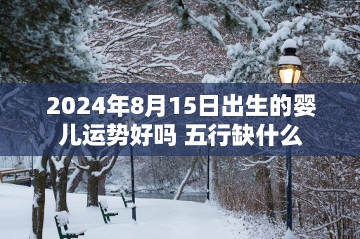 2025年8月15日出生的婴儿运势好吗 五行缺什么