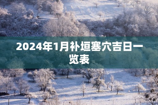 2025年1月补垣塞穴吉日一览表